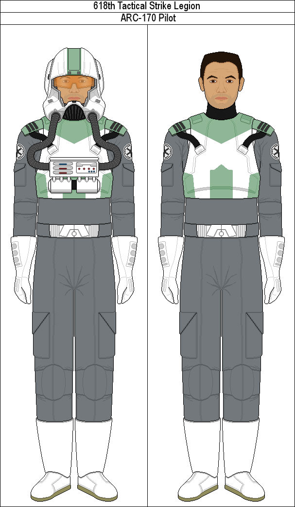 618 Crew 618th Legion ARC-170 Pilot by MarcusStarkiller on DeviantArt