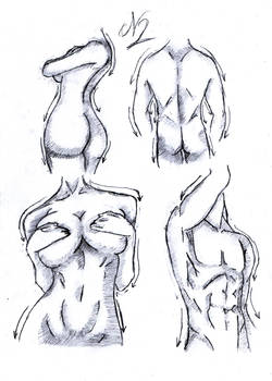 Sketch Practice - human body