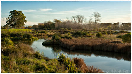 The Wetlands...