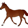 SA| The Common Horse