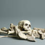 Bones - 1