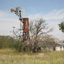 Abandoned Farm