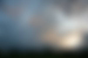 the big sky