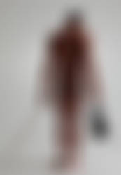 Violince
