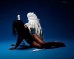 Broken Angel - J - 2 by mjranum-stock