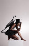FairyFlight -19-J by mjranum-stock