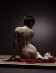 Geisha Outtake by mjranum-stock