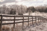 Winter fields by mjranum-stock