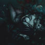 Drowned in Time