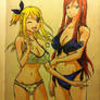 Lucy and Erza Summer