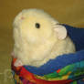 Little Cream Guinea Pig Plush