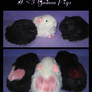 I :heart: Guinea Pigs Plushies