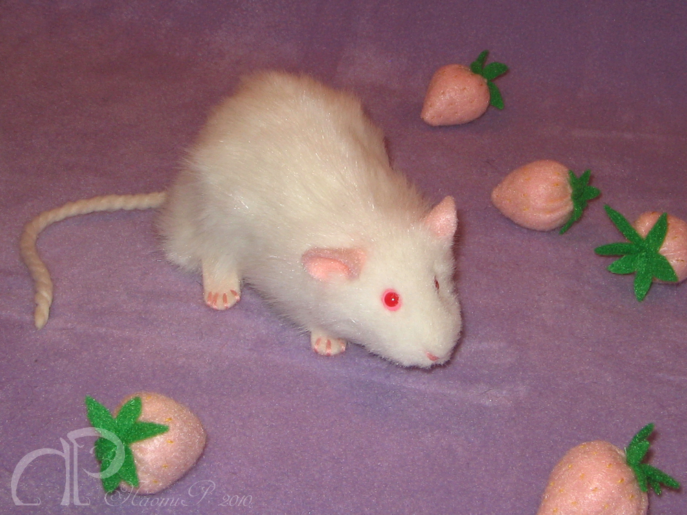 Albino Rat Plushie