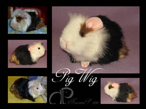 Custom Guinea Pig Plushie - Pigwig