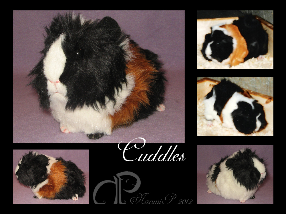 Custom Guinea Pig Plushie - Cuddles