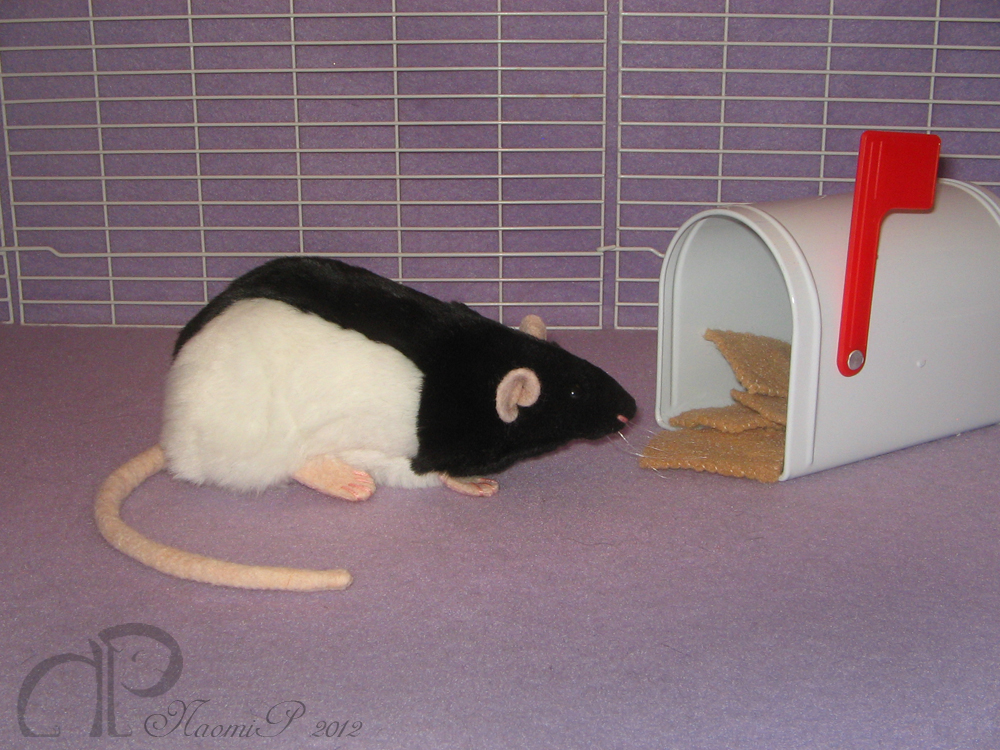 Black Hooded Rat Plushie