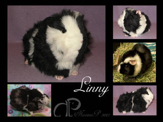 Custom Guinea Pig Plushie: Linny