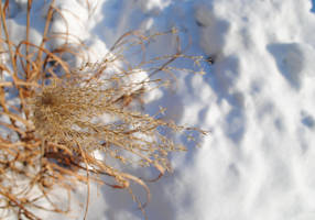 winter in KAMPINOS