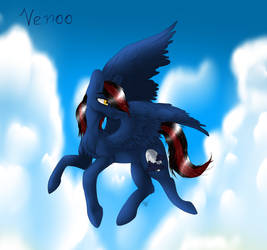 Gift Venoo - xVenek