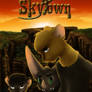 Skytown Poster 2011