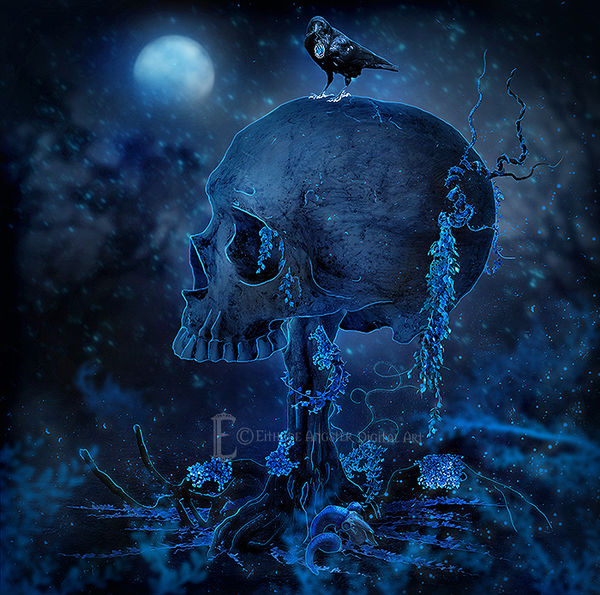 Raven's Home by Eithnne Raven's Home by Eithnne