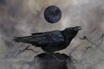 Obsidian Moon by Eithnne