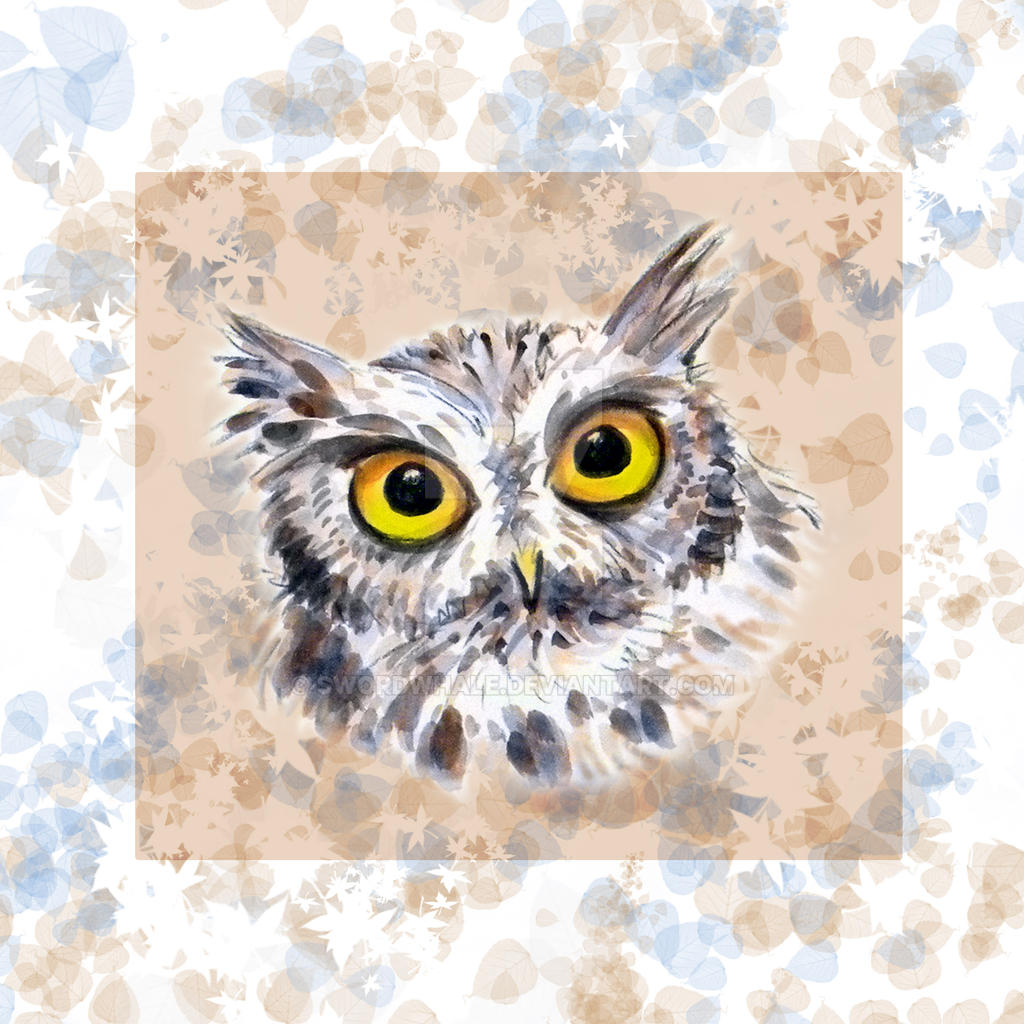 Screech Owl Grey Phase