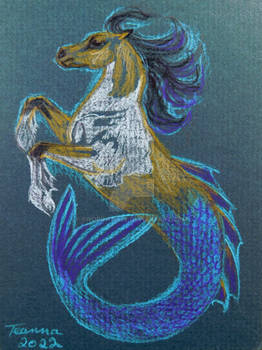 Seahorse: buckskin pinto