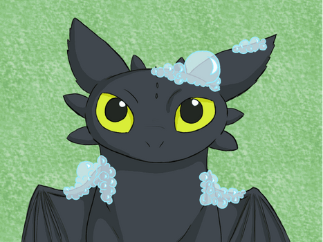 Toothless Bath Time