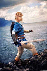 Link - Breath of the Wild