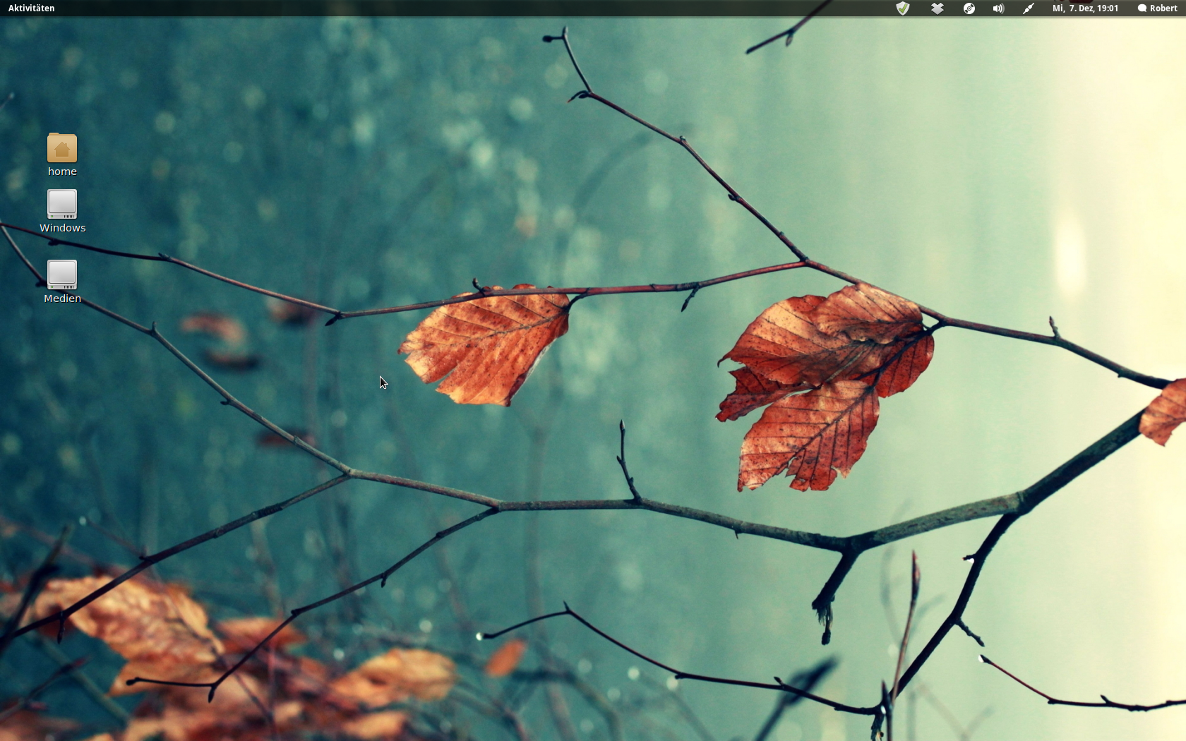 Desktop 07.12.2011 - Linux Mint 12