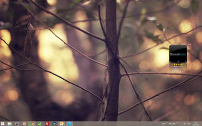 My Desktop - 24.01.2013