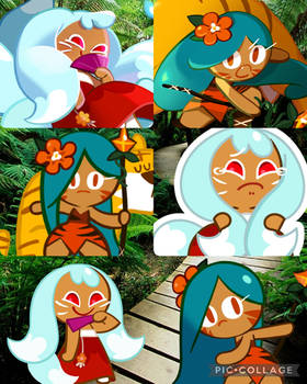 kumiho cookie x tiger lily cookie (CT)