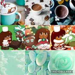 mint choco cookie x cocoa cookie (AAT)