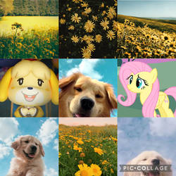 isabelle and fluttershy (AAT)