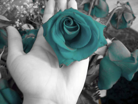 Fake rose in my hand