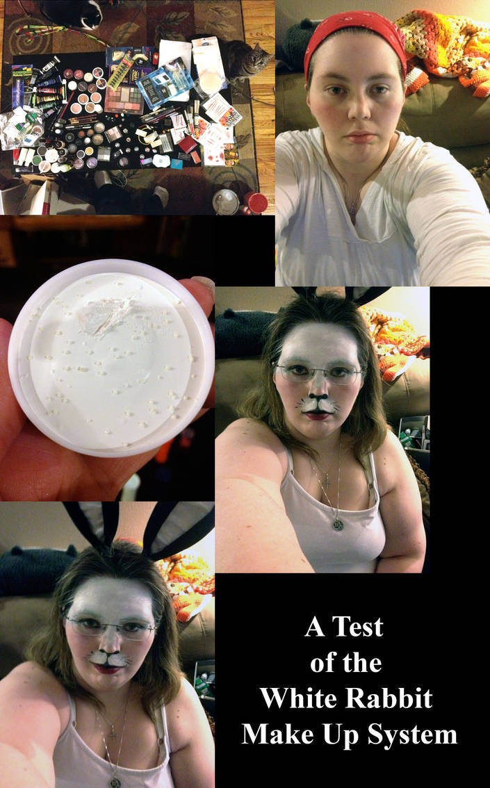 Testing Rabbit Make Up A Test of the White Rabbit Make Up System by Ryuyujin on DeviantArt