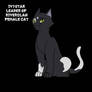 Ivystar