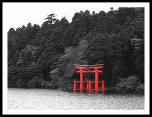 Floating Torii