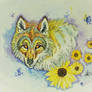 Sunflower Wolf