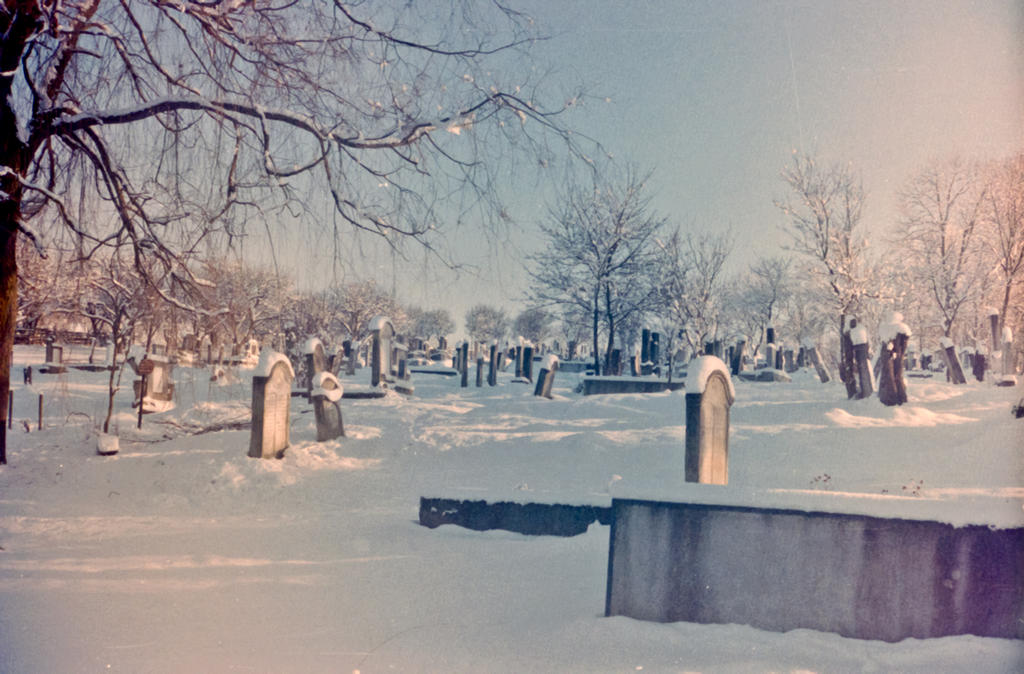 dormant cemetary