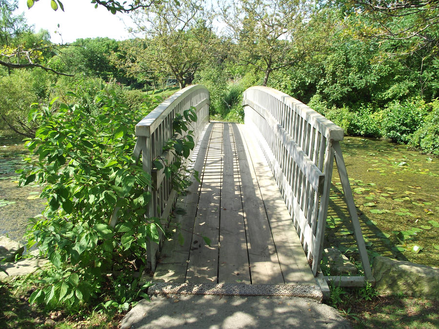 Over the bridge