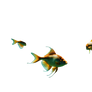 Mystic Fishes In The Waters Above