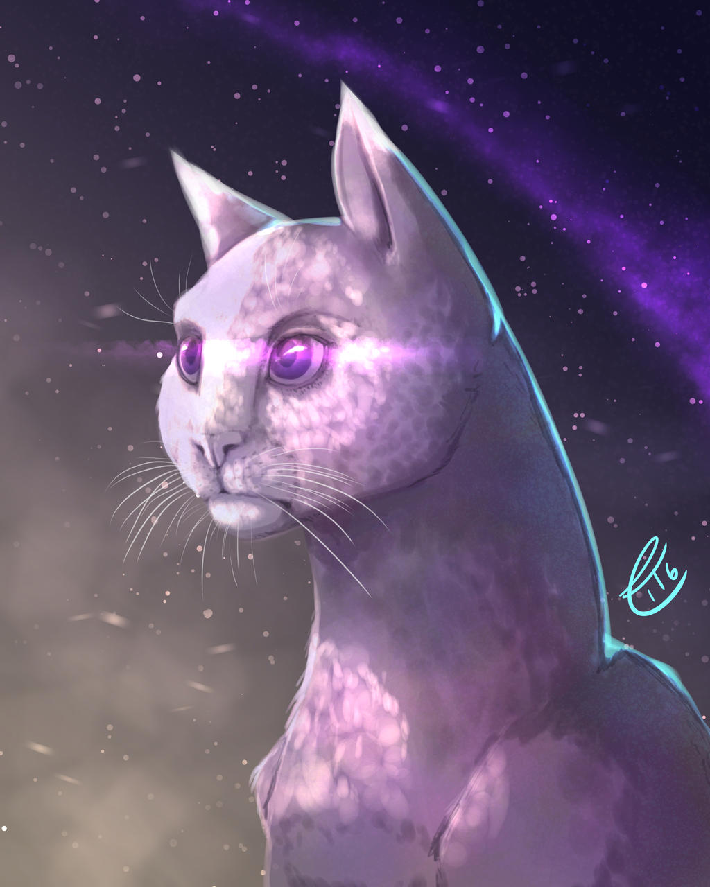 Space Cat