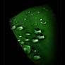 :Green Drops: