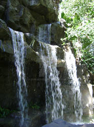 Rainforest Waterfalls