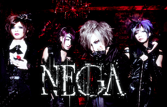 Nega 2011 - New Look