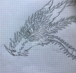 Fast Dragon Drawing