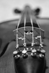 Black and White Fiddle