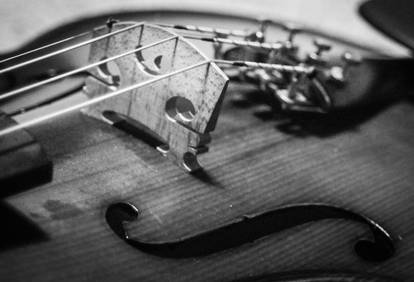 Black and White Fiddle 2